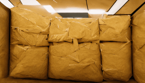 What Does “Item Bagged” Mean? Tracking Guide - MAILBOX MASTER